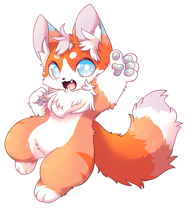 A cute fox here